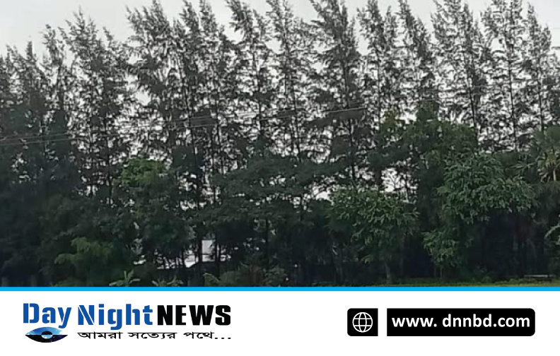 লক্ষ্মীপুরের কমলনগরে ভূমিদস্যুদের দখলে সরকারি খাস জমি